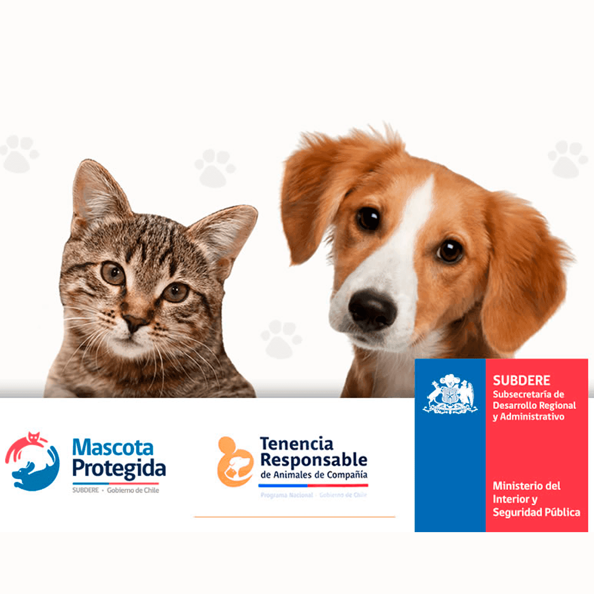 Cover Image for ¿Cómo inscribir mi mascota en el Registro Nacional de Mascotas o Animales de Compañía?